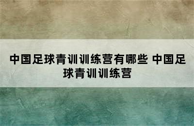 中国足球青训训练营有哪些 中国足球青训训练营